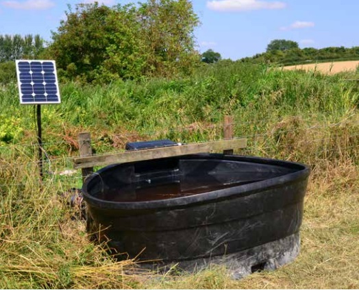 Livestock Water Pumps